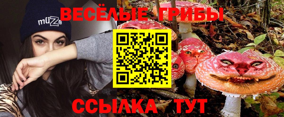 Орёл  купить наркотик  Вход с VPN  Псилоцибиновые грибы Psilocybe 