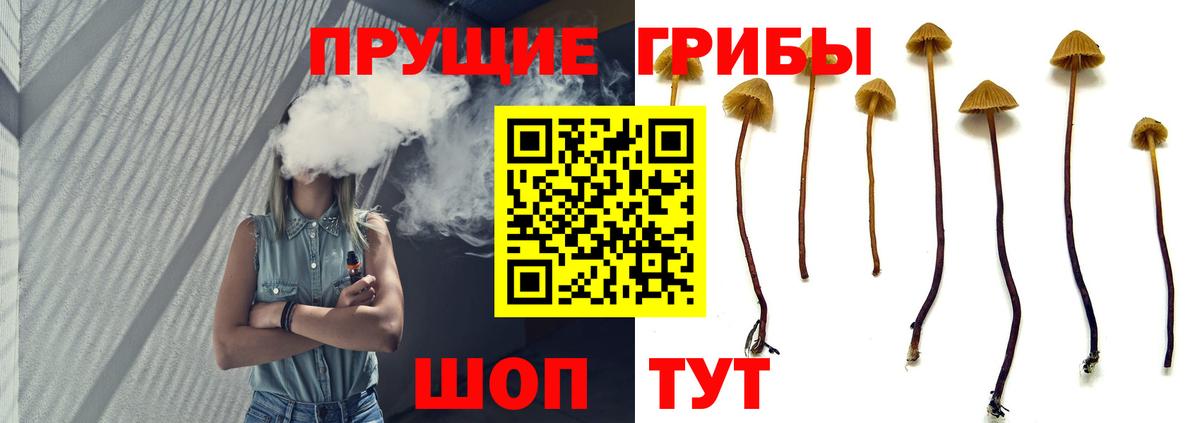 Галлюциногенные грибы ЛСД Орёл